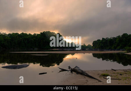 Serena tranquillità al tramonto: il fiume Suriname nella parte superiore del Suriname, selvaggio torrente confina con la foresta pluviale. Foto Stock