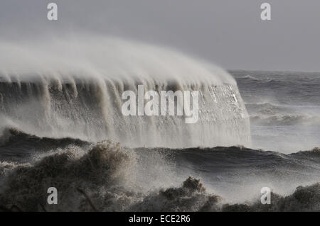 Onde che si infrangono sulle il Cobb a Lyme Regis in una tempesta Dorset Regno Unito Foto Stock