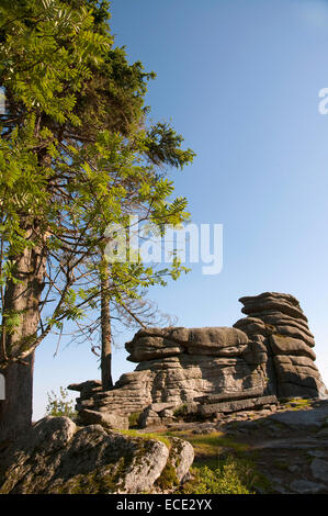 La formazione di roccia Dreisessel vicino alla foresta bavarese, Germania Foto Stock