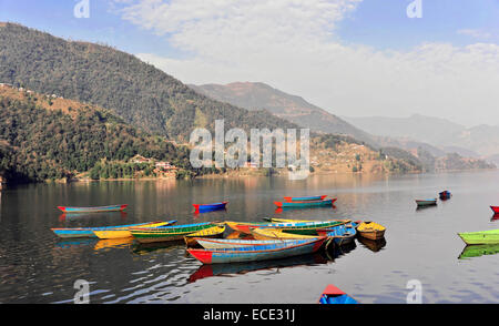 Barche a remi sul lago Phewa, Pokhara, Nepal Foto Stock