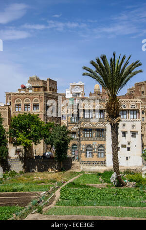 Tradizionali di vecchie case nella città vecchia di Sana'a, Sito Patrimonio Mondiale dell'UNESCO, Sana'a, Yemen Foto Stock