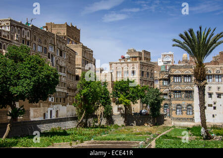 Tradizionali di vecchie case nella città vecchia di Sana'a, Sito Patrimonio Mondiale dell'UNESCO, Sana'a, Yemen Foto Stock