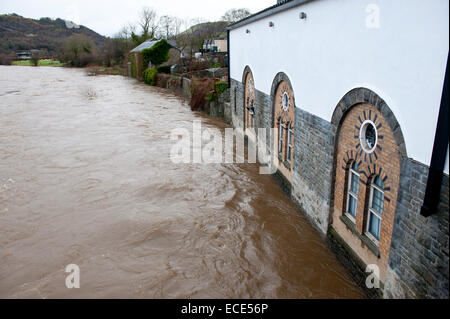 Builth Wells, Powys, Regno Unito. Dodicesimo Dicembre, 2014. Fiume Wye burst si tratta di banche. Credito: Graham M. Lawrence/Alamy Live News. Foto Stock