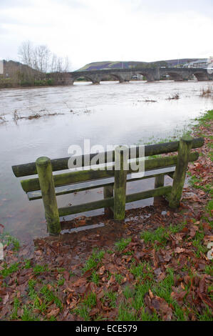 Builth Wells, Powys, Regno Unito. Dodicesimo Dicembre, 2014. Fiume Wye burst si tratta di banche. Credito: Graham M. Lawrence/Alamy Live News. Foto Stock