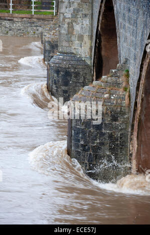 Builth Wells, Powys, Regno Unito. Dodicesimo Dicembre, 2014. Fiume Wye burst si tratta di banche. Credito: Graham M. Lawrence/Alamy Live News. Foto Stock