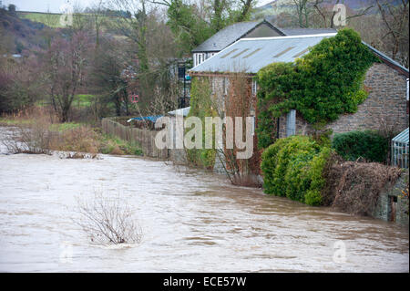 Builth Wells, Powys, Regno Unito. Dodicesimo Dicembre, 2014. Fiume Wye burst si tratta di banche. Credito: Graham M. Lawrence/Alamy Live News. Foto Stock