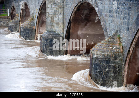 Builth Wells, Powys, Regno Unito. Dodicesimo Dicembre, 2014. Fiume Wye burst si tratta di banche. Credito: Graham M. Lawrence/Alamy Live News. Foto Stock