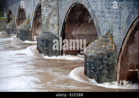 Builth Wells, Powys, Regno Unito. Dodicesimo Dicembre, 2014. Fiume Wye burst si tratta di banche. Credito: Graham M. Lawrence/Alamy Live News. Foto Stock