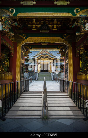 Ingresso alla parte di Nikko al Santuario di Toshogu complessa, Nikko, Giappone. Foto Stock