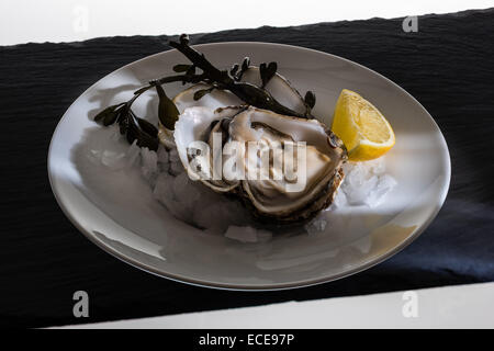 Shell, delicatezza, costoso, preziose e belle, studio, sfondo nero, luce magica interiora, shell, clam shell, succhi di frutta freschi Foto Stock