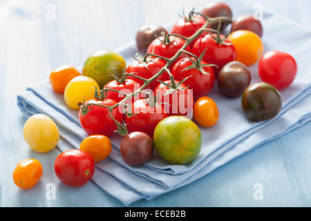 Pomodori colorati su blue igienico Foto Stock