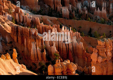 Formazioni rocciose a Bryce Canyon, Utah, Stati Uniti Foto Stock