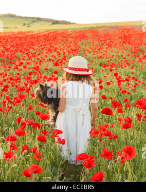 Vista posteriore di una ragazza che cammina attraverso un campo papavero che porta il suo cane Foto Stock