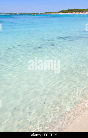 Spiaggia di sabbia chiara acqua di mare, Es Trenc, isola di Maiorca, SPAGNA Foto Stock