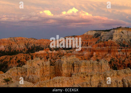 Vista panoramica di hoodoos e calcare altre formazioni rocciose a Bryce Canyon National Park, Utah, Stati Uniti d'America in luglio Foto Stock