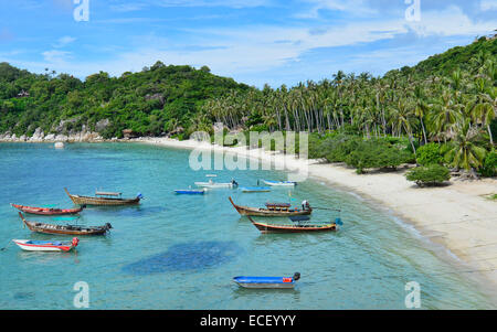 Longtail imbarcazioni al Haad Tien Beach, Koh Tao, Thailandia Foto Stock