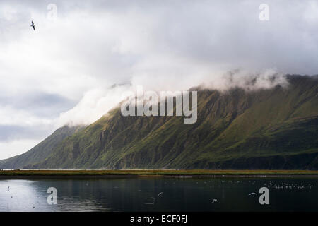 Paesaggio della baia giapponese, Kodiak, Alaska Foto Stock