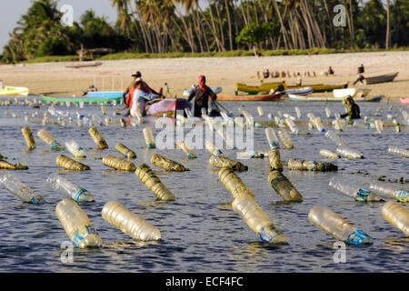 Allevamento di alghe marine in Indonesia utilizzando le bottiglie di plastica vuote a galleggiare le linee che le alghe cresce su Foto Stock