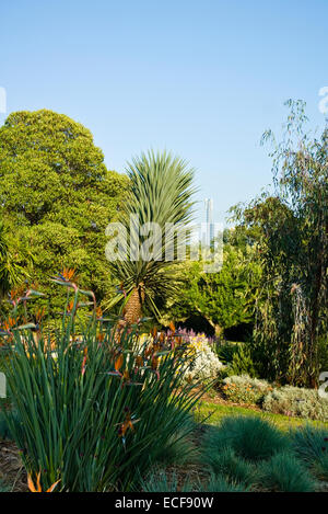 Il Royal Botanic Gardens Melbourne,internazionalmente rinomati giardini botanici si trova nei pressi del centro di Melbourne, Victoria, Australia Foto Stock