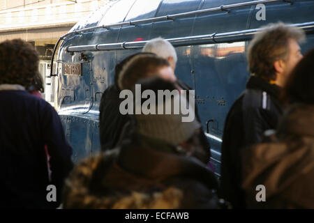 La stazione ferroviaria di York, Regno Unito, 13 dicembre 2014. Snellito LNER A4 class locomotiva a vapore 4464 'Tarabuso', suor locomotore del record di 'Mallard', sorge presso la piattaforma dopo il traino del 'Natale White Rose' tour da London King's Cross a York. Credito: David soulsby/Alamy Live News Foto Stock