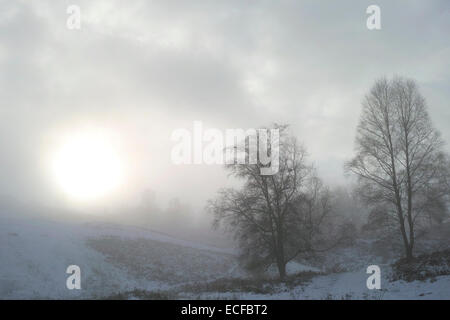 In inverno la neve caduta a Tarn Hows nei monti Pennini, vicino a Coniston, Lake District, Cumbria, Inghilterra. Foto Stock