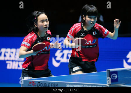 (L a R) Mima Ito, Miu Hirano (JPN), 13 dicembre 2014 - Tennis da tavolo : GAC Gruppo 2014 ITTF World Tour Grand Finals di doppio femminile al Palasport Huamark, Bangkok, Thailandia © YUTAKA AFLO/sport/Alamy Live News Foto Stock