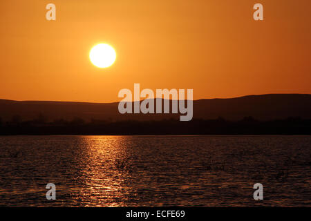 Il tramonto del Birket Siwa sale-acqua lago, nell'oasi di Siwa, Egitto domenica 14 novembre 2010 Foto Stock