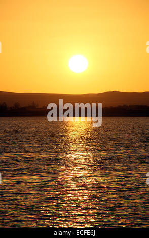 Il tramonto del Birket Siwa sale-acqua lago, nell'oasi di Siwa, Egitto domenica 14 novembre 2010 Foto Stock