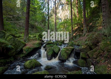 Wyming Brook, Sheffield, Inghilterra Foto Stock