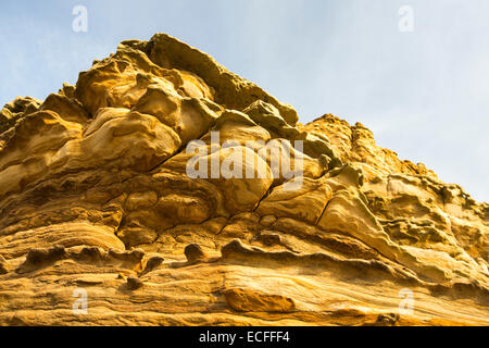 Weathered arenaria scogliera sul mare sulla costa di Northumberland vicino Boulmer. Foto Stock