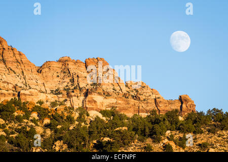 Grande quasi la luna piena con un incremento di oltre il Parco Nazionale di Zion in a sudovest Utah Foto Stock