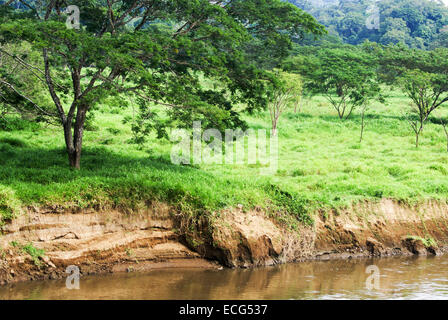 Fiume Tarcoles, AKA Rio Grande de Tarcoles, Costa Rica Foto Stock