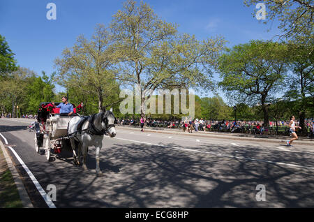 Carrozza a cavalli tenendo i visitatori attraverso il Central Park di New York Foto Stock