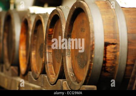 Aceto balsamico di Modena Acetaia di Aceto Balsamico di Modena Foto Stock