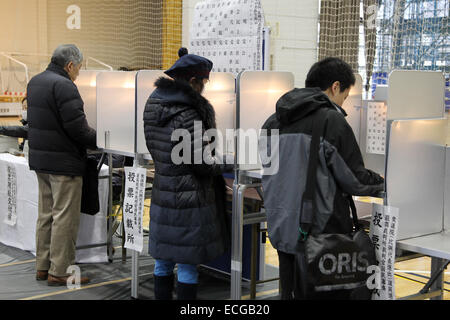 Tokyo, Giappone. Xiv Dic, 2014. Persone voto in un luogo di polling durante la casa inferiore alle elezioni del dicembre 14, 2014 a Tokyo, Giappone. © Junko Kimura-Matsumoto Jana/press/ZUMA filo/Alamy Live News Foto Stock