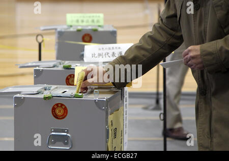 Tokyo, Giappone. Xiv Dic, 2014. Persone voto in un luogo di polling durante la casa inferiore alle elezioni del dicembre 14, 2014 a Tokyo, Giappone. © Junko Kimura-Matsumoto Jana/press/ZUMA filo/Alamy Live News Foto Stock