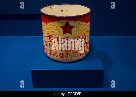 Mao golden mango mostra alla Cina Institute di New York Foto Stock