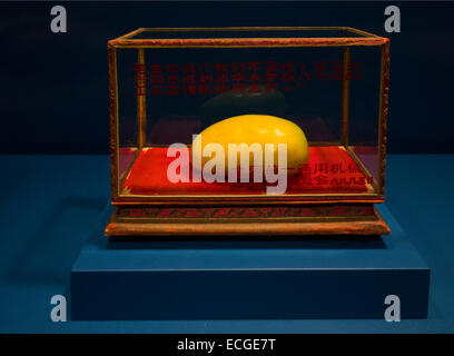 Mao golden mango mostra alla Cina Institute di New York Foto Stock