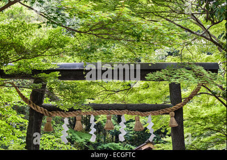 Una corda sacra di paglia di riso (shimenawa) segna l'ingresso ad un santuario shintoista nel villaggio rurale di Arashiyama, ad ovest di Kyoto, in Giappone Foto Stock