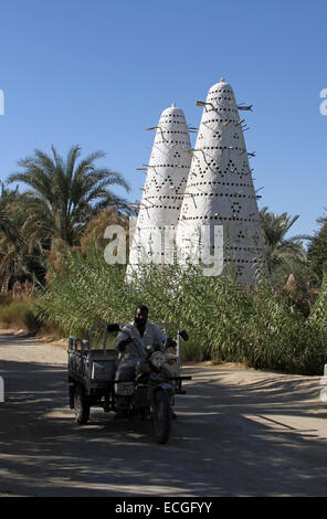 Un uomo che cavalca un rimorchio in moto lungo una strada polverosa al piccione stie in background, nell'oasi di Siwa, Egitto Foto Stock