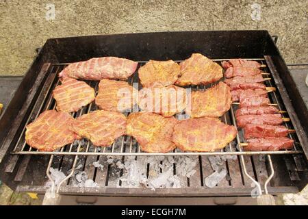 La carne su un grill all'aperto Foto Stock