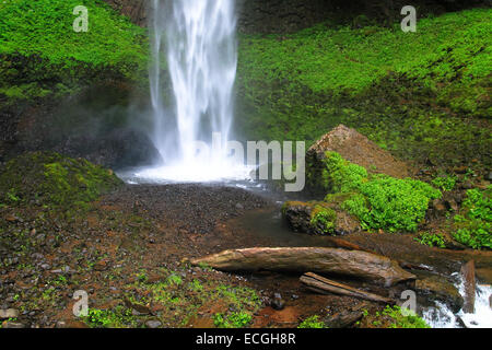 Base di Latourell cade nella Columbia River Gorge, Oregon, Stati Uniti d'America Foto Stock