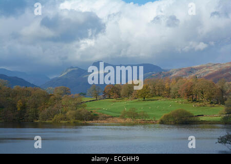 Inizio autunno a Loughrigg Tarn - Lake District, England, Regno Unito Foto Stock