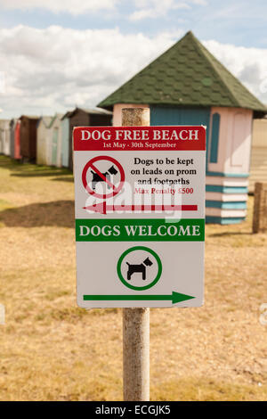 Segno di direzione per cane spiaggia libera & i cani ammessi spiaggia sul lungomare di Brightlingsea Essex England Regno Unito Foto Stock