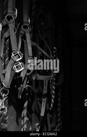 Una vita ancora foto di cablaggi briglie e corde appendere su un muro del granaio. Foto Stock