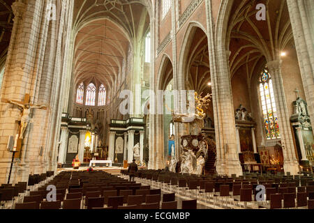 Interno, la Cattedrale di San Bavo, Gand, Belgio Foto Stock