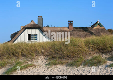 Cottage con il tetto di paglia dietro le dune, Ahrenshoop, Darß, Meclemburgo-Pomerania, Germania Foto Stock