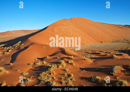 Le dune di sabbia, Sossusvlei, Namib Desert, Namibia Foto Stock