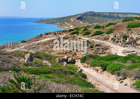 Gli scavi della antica città di Tharros, la penisola del Sinis, Oristano, Sardegna, Italia Provincia, Europa Foto Stock