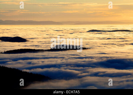 Vista dal Monte Feldberg sopra la Valle del Reno nei Vosgi, tempo di inversione, Foresta Nera, Baden-Württemberg, Germania Foto Stock